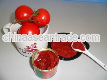 High quanlity canned tomato paste