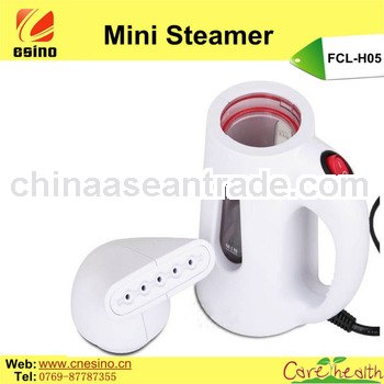 Hot Sale in USA Mini Garment Steamer