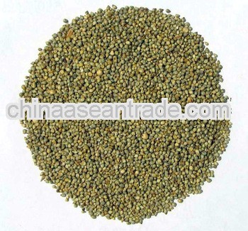 INDIAN BAJRA OR GREEN MILLETS