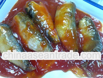 Import Chinese canned fish canned sardine fish in tomato sauce