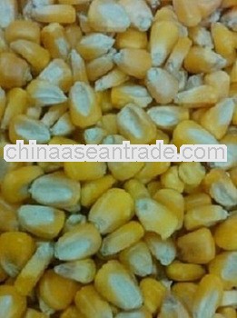 Indian-Dry Yellow Maize For Bosnia