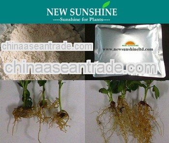 Indoleacetic acid rooting hormones