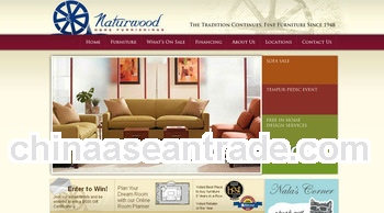 Internet shopping site design and website solutions