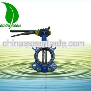 Iron butterfly valve with handle lever type