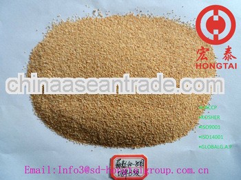 Jining Dehydrated Granulated Garlic 40-80 Mesh Price