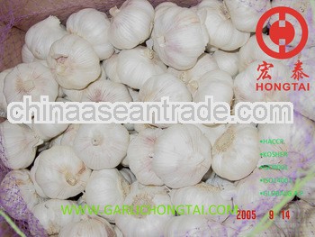 Jinxiang Fresh Garlic 4.5CM Price