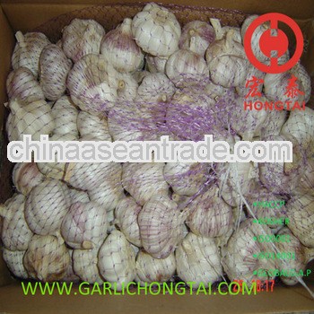 Jinxiang Normal White Garlic 5.0 price