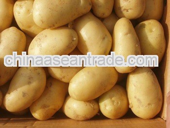 Juyuan Fresh Potatos (China)