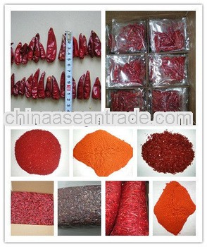 KOSHER/ HALAL/ HACCP/ SGS Tianying chili