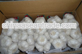 LW- new crop fresh garlic