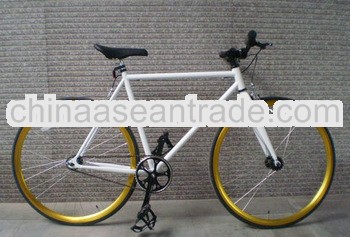 Latest colourful fixed gear bicycle