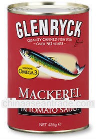 Low price canned mackerel wholesale products in oil