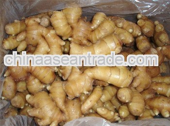 Market Prices For Ginger