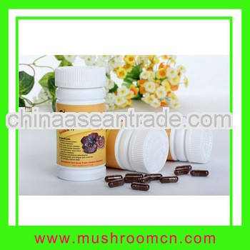 Medical Mushroom (Reishi) Ganoderma Lucidum Capsule