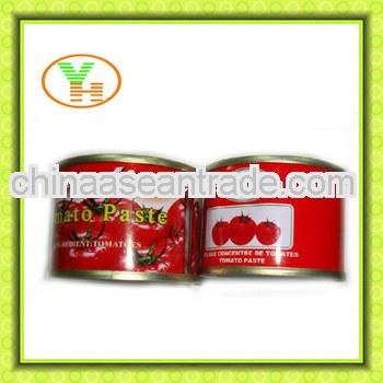 Mushed tomato,Foodstuff export