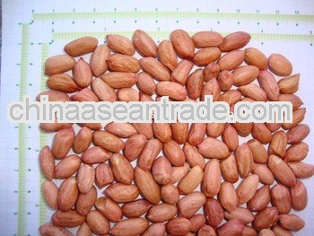 New Crop Peanuts for Argentina