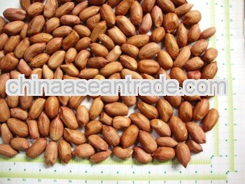 New Crop Peanuts for Brazil