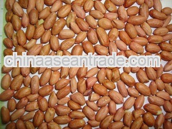 New Crop Peanuts for French Polynesia