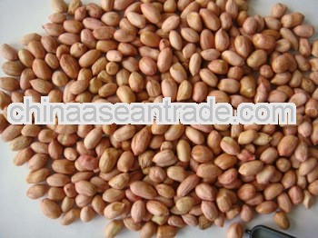 New Crop Peanuts for Germany