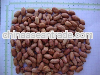 New Crop Peanuts for Poland