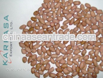 New Crop Peanuts for Yemen