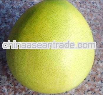 New Sweet fresh pomelo China grapefruit