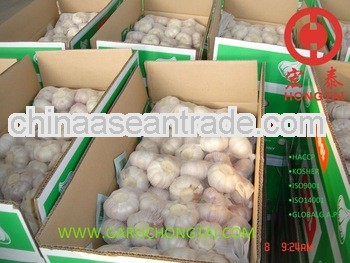 Normal White Garlic 55mm+ Price