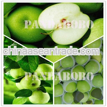 Nutrition Green Apple Fruits