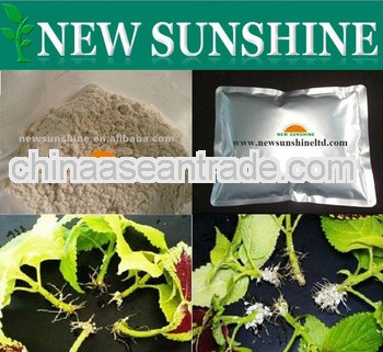 Plant Root Growth Promoter 3-Indolebutyric Acid IBA