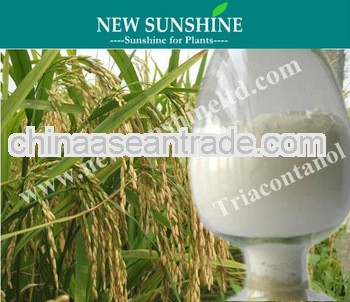 Plant growth hormone Triacontanol Powder