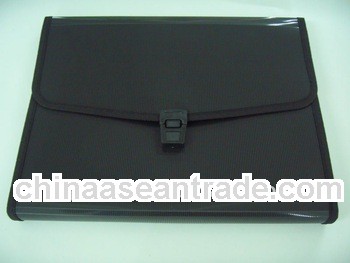 Pretty designs of Black expanding file with handle