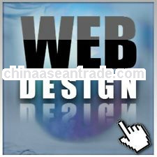 Professional Web Design Custom Website & Development