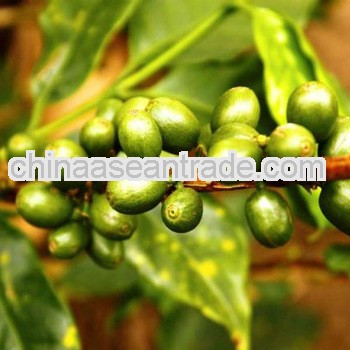 Pure nature Green Coffee Bean Extract