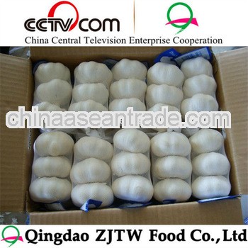 Quality Shandong fresh garlic specification(4.5-6.5cm) with best price From china