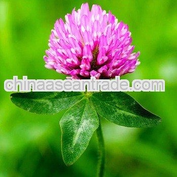 Red Clover extract