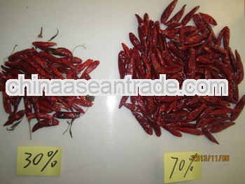 Red hot dry samll Chaotian chili chile