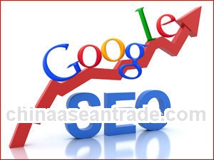 SEO - SEO Belgium, Google SEO, SEO Company Internet Marketing