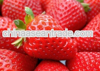 Sell preserved canned strawberry in syrup