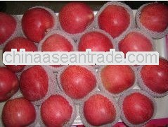 Shaanxi red Qinguan Apple fruit