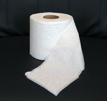 Shanghai Clean 2013 well selling 2ply virgin pulpToilet Tissue