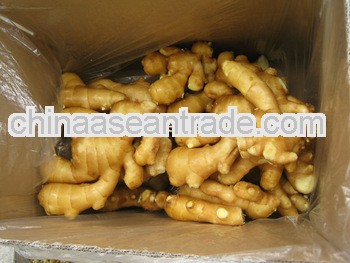 Supply all year round fresh ginger