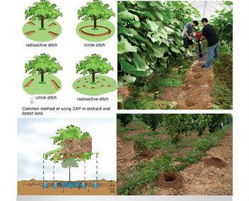 Supply forestry water retaining gel super absorbent polymer