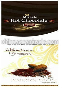 The best No Fat Gourmet Hot Chocolate