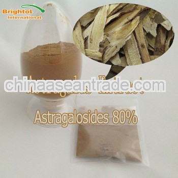 Top Quality Astragalus Root P.E