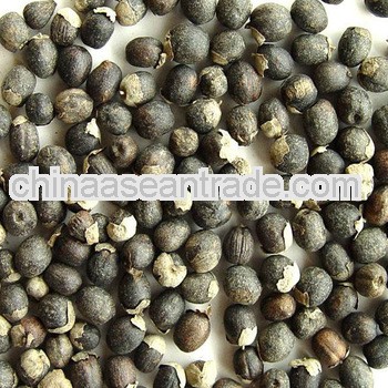 Top Quality Chastetree Berry Extract