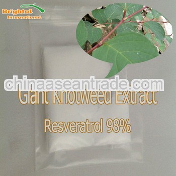 Top Quality Giant knotweed Extract