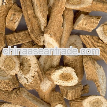 Top Quality Radix Isatidis Extract