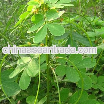 Top Quality Rauwolfia Vomitoria Extract