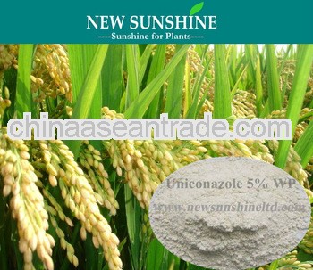 Uniconazole 5% WP in Plant growth inhibitor