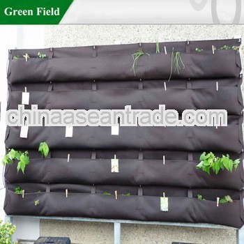 Vertical Garden Planter for School Garden